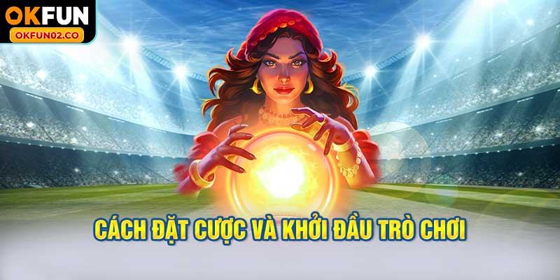 Cách đặt cược và khởi đầu trò chơi